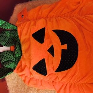 Dog Costumes
